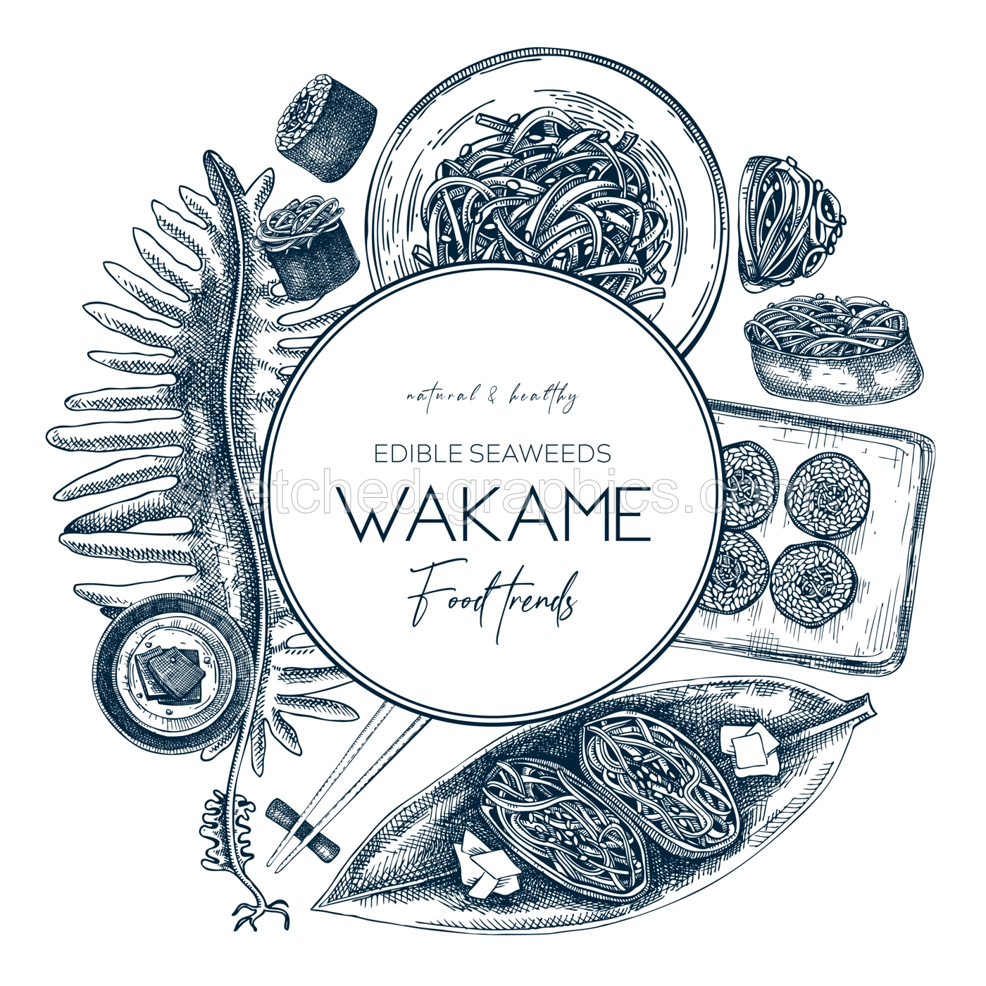 Edible seaweed wreath design. Hand-drawn wakame sketches. Sea vegetables vector illustration. Japanese cuisine vintage frame. Modern restaurant menu. Healthy food ingredients collection Illustration